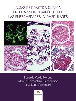 cover image of Guías de práctica clínica en el manejo terapéutico de las enfermedades glomerulares
